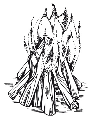 Иллюстрация к книге — Классная энциклопедия для мальчиков. Отличные советы, как быть лучшим во всем! [i_029.jpg]