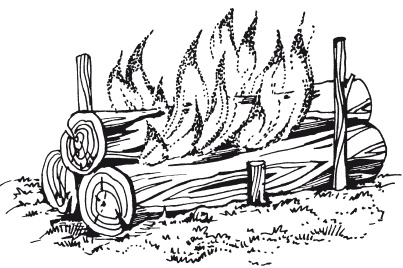 Иллюстрация к книге — Классная энциклопедия для мальчиков. Отличные советы, как быть лучшим во всем! [i_031.jpg]