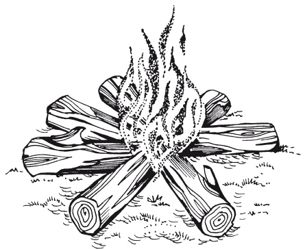 Иллюстрация к книге — Классная энциклопедия для мальчиков. Отличные советы, как быть лучшим во всем! [i_033.jpg]