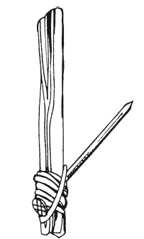 Иллюстрация к книге — Классная энциклопедия для мальчиков. Отличные советы, как быть лучшим во всем! [i_037.jpg]