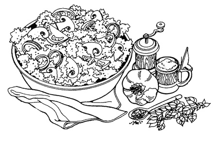 Иллюстрация к книге — Салаты из овощей, фруктов и прочих продуктов [i_001.jpg]