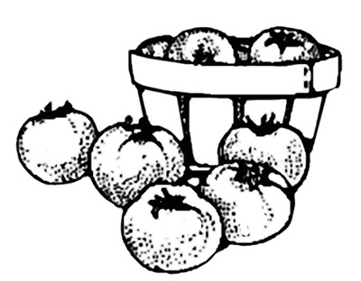 Иллюстрация к книге — Салаты из овощей, фруктов и прочих продуктов [i_002.jpg]