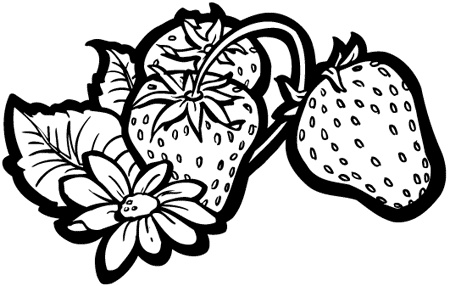 Иллюстрация к книге — Салаты из овощей, фруктов и прочих продуктов [i_010.jpg]