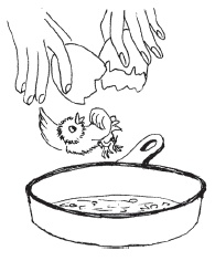 Иллюстрация к книге — Рецепты с &quot;секретом&quot; [i_010.jpg]