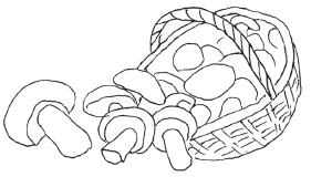 Иллюстрация к книге — Рецепты с "секретом" [i_014.jpg]