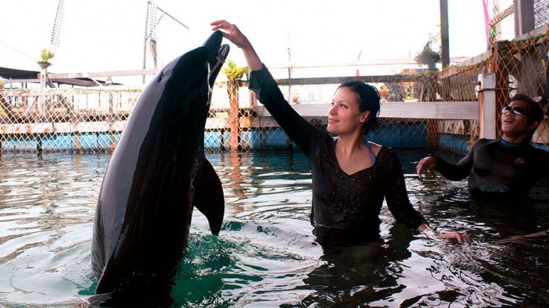 Иллюстрация к книге — Система минус 60. Революция [i_040.jpg]