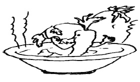 Иллюстрация к книге — Секреты домашних маринадов [i_004.jpg]