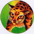 Иллюстрация к книге — Секреты племен [pic_112.jpg]