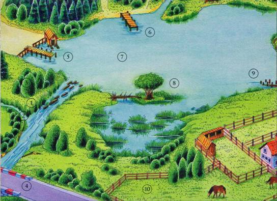 Иллюстрация к книге — Секреты племен [pic_126.jpg]