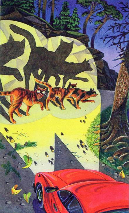 Иллюстрация к книге — Секреты племен [pic_142.jpg]