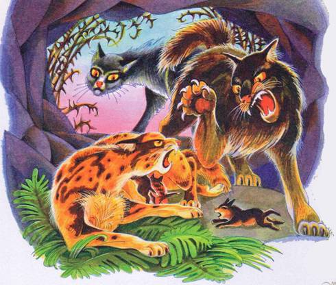 Иллюстрация к книге — Секреты племен [pic_168.jpg]