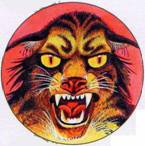 Иллюстрация к книге — Секреты племен [pic_176.jpg]