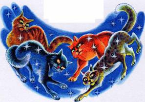 Иллюстрация к книге — Секреты племен [pic_186.jpg]