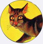 Иллюстрация к книге — Секреты племен [pic_204.jpg]