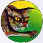 Иллюстрация к книге — Секреты племен [pic_230.jpg]