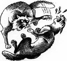 Иллюстрация к книге — Секреты племен [pic_240.jpg]