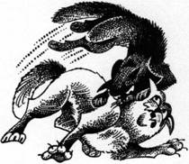 Иллюстрация к книге — Секреты племен [pic_244.jpg]