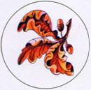 Иллюстрация к книге — Секреты племен [pic_266.jpg]