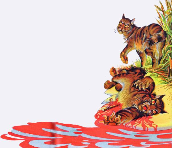 Иллюстрация к книге — Секреты племен [pic_296.jpg]