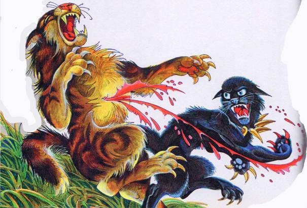 Иллюстрация к книге — Секреты племен [pic_300.jpg]