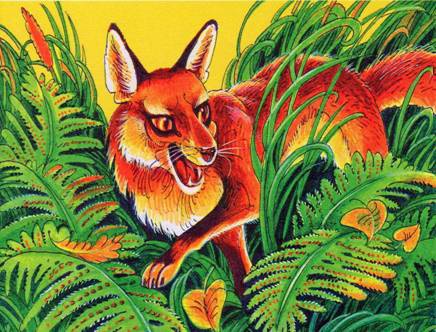 Иллюстрация к книге — Секреты племен [pic_340.jpg]