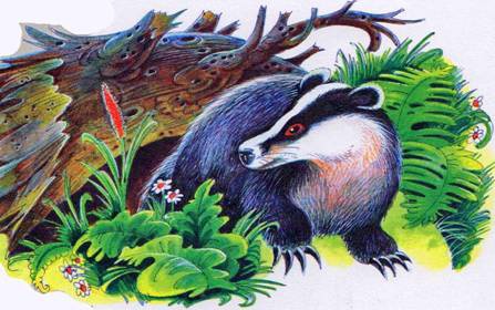 Иллюстрация к книге — Секреты племен [pic_342.jpg]