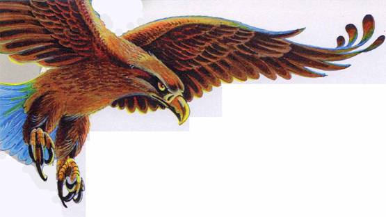 Иллюстрация к книге — Секреты племен [pic_346.jpg]