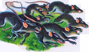 Иллюстрация к книге — Секреты племен [pic_348.jpg]