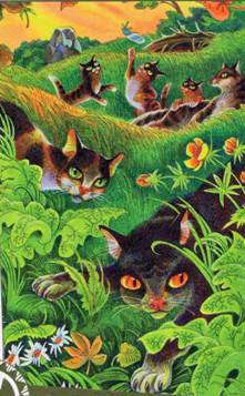 Иллюстрация к книге — Секреты племен [pic_4.jpg]