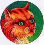 Иллюстрация к книге — Секреты племен [pic_58.jpg]