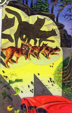 Иллюстрация к книге — Секреты племен [pic_8.jpg]