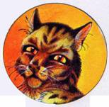 Иллюстрация к книге — Секреты племен [pic_80.jpg]