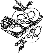 Иллюстрация к книге — Осетинские пироги и другая выпечка Востока [i_037.jpg]