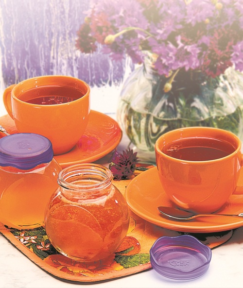 Иллюстрация к книге — Быстрое консервирование [Autogen_eBook_id14.jpg]