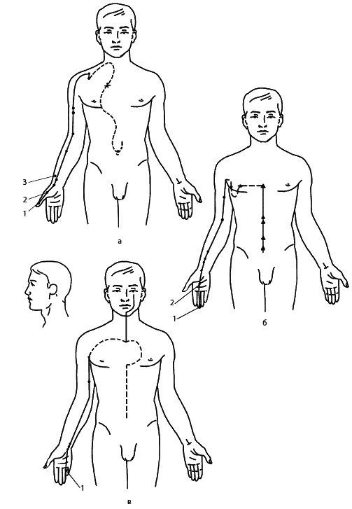 Иллюстрация к книге — Восточный путь самоомоложения. Все лучшие техники и методики [_129.jpg]
