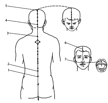 Иллюстрация к книге — Восточный путь самоомоложения. Все лучшие техники и методики [_134.jpg]