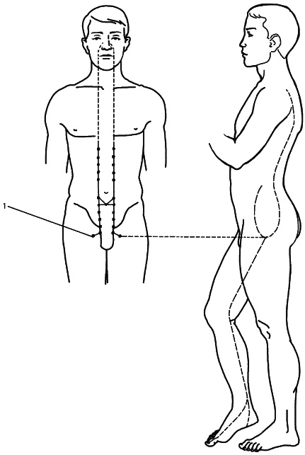 Иллюстрация к книге — Восточный путь самоомоложения. Все лучшие техники и методики [_135.jpg]