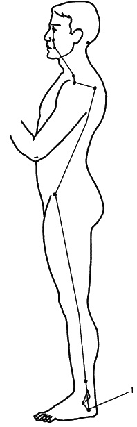 Иллюстрация к книге — Восточный путь самоомоложения. Все лучшие техники и методики [_137.jpg]