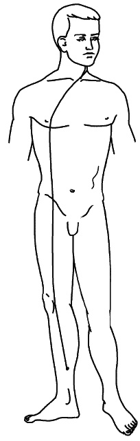 Иллюстрация к книге — Восточный путь самоомоложения. Все лучшие техники и методики [_137_2.jpg]