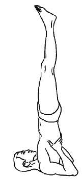 Иллюстрация к книге — Восточный путь самоомоложения. Все лучшие техники и методики [_280.jpg]