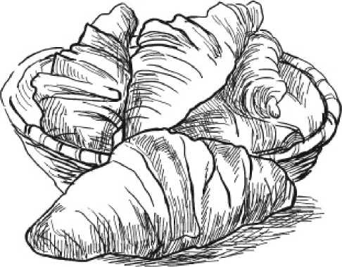 Иллюстрация к книге — Выпечка из слоеного теста. Готовим, как профессионалы! [_2.jpg]