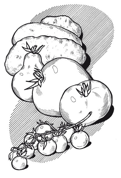 Иллюстрация к книге — Летние супы, окрошки, свекольники и другие. Готовим, как профессионалы! [i_002.jpg]