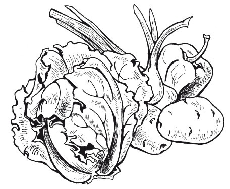 Иллюстрация к книге — Летние супы, окрошки, свекольники и другие. Готовим, как профессионалы! [i_005.jpg]