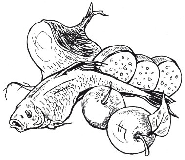 Иллюстрация к книге — Летние супы, окрошки, свекольники и другие. Готовим, как профессионалы! [i_006.jpg]