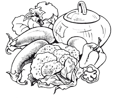 Иллюстрация к книге — Летние супы, окрошки, свекольники и другие. Готовим, как профессионалы! [i_015.jpg]