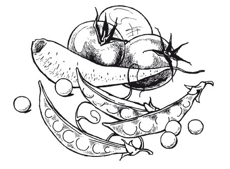 Иллюстрация к книге — Летние супы, окрошки, свекольники и другие. Готовим, как профессионалы! [i_020.jpg]