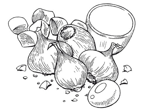 Иллюстрация к книге — Летние супы, окрошки, свекольники и другие. Готовим, как профессионалы! [i_021.jpg]