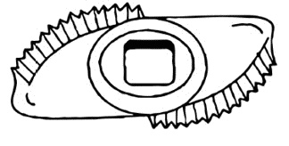 Иллюстрация к книге — Аппетитные колбасы и паштеты [i_020.jpg]