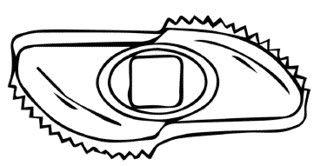 Иллюстрация к книге — Аппетитные колбасы и паштеты [i_021.jpg]