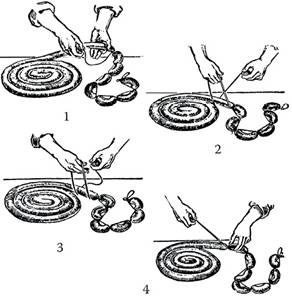 Иллюстрация к книге — Аппетитные колбасы и паштеты [i_024.jpg]